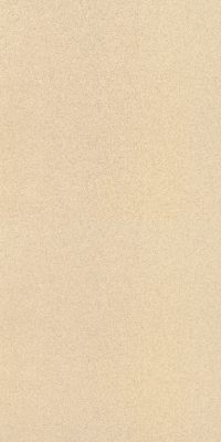 DENSE SAHARA