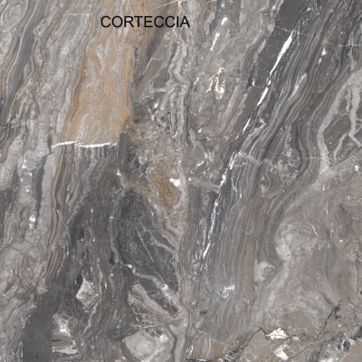 CORTECCIA