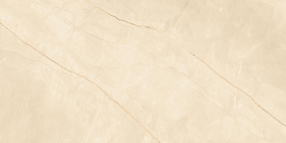 Large Porcelain Slab Tiles - 800x1600mm