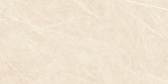 Large Porcelain Slab Tiles - 800x1600mm