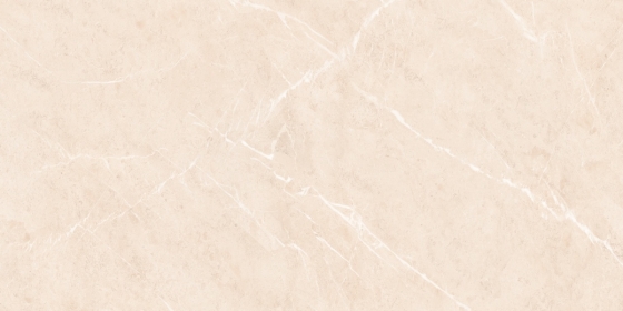 Large Porcelain Slab Tiles - 800x1600mm