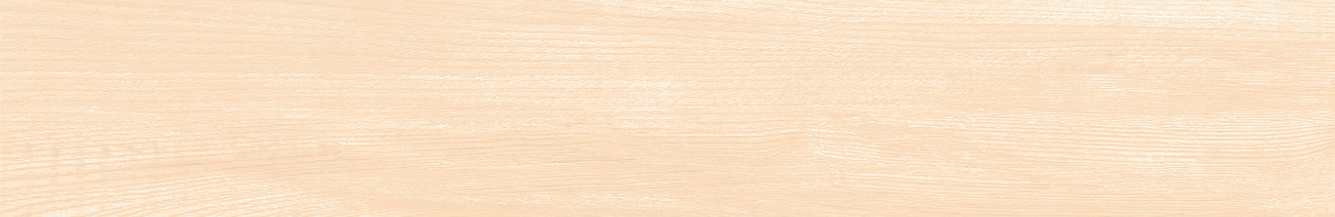 wood look step and riser